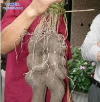 传说中的地下情