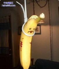 是谁要谋害我