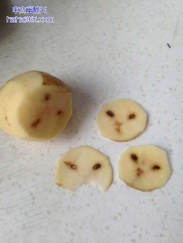 土豆你怎么了