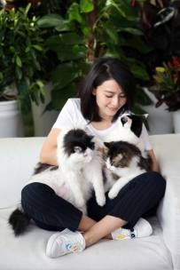 圆漾Ondul ' |“比酷更酷的是爱――萌猫来袭”