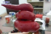 这辣椒长得有点逆天