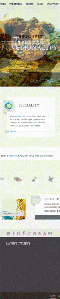 2014年172套html5+html模板免费大放送asp300 576292014年（172款）674Tregante
