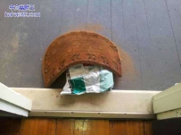 话说快递查询显示的是地毯签收，出门一看，果然...