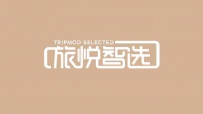 如何评价一家vi设计公司的综合实力和质量水平？