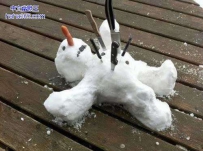 是谁谋杀了雪人