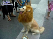 哥哥姐姐给点钱吧
