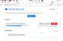 支持 BT、磁力链接、边下边播的老司机坐骑 —— Cloud Torrent Windows安装教程