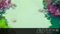 重庆河沟惊现巨型水怪 引发当地轰动