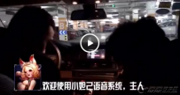 小妲己语音系统怎么安装
