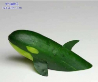 与众不同的小黄瓜（9张）