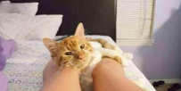 喵星人，你在看什么呢！