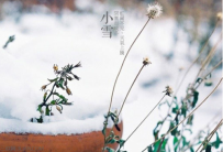 关于小雪农事注意事项