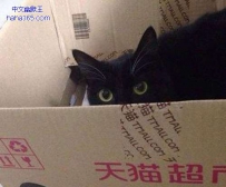 你居然背着我去做代言了？