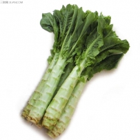 夏莴笋高效栽培技术