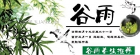 谷雨养生保健小常识