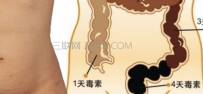 什么方法能有效清宿便