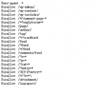 网站SEO优化Robots协议完整性的写法