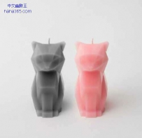 恶魔的宠物猫（5张）