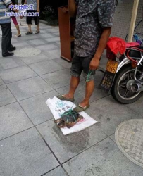 没想到我也会被人卖
