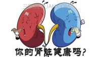 肾病能有性生活吗