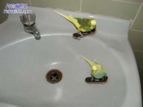你们也在玩滑板吗