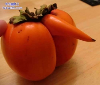 奇葩的西红柿