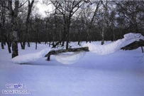这雪太幽默了