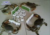 螃蟹都要打麻将
