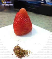 谁这么无聊