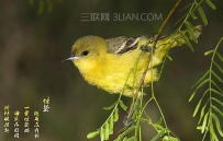 惊蛰养生保健知识