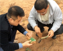 专访陶金：上清宫遗址是近世中国宗教变革的缩影