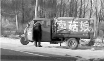 姑娘多少钱一斤啊