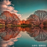 八张图，据说能看出不一样的梦幻世界