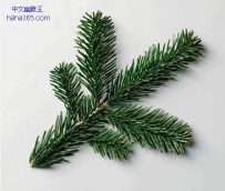 当物品变的如此整齐（10张）