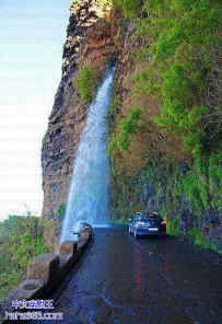 免费洗车