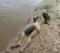 冲出来个林妹妹