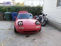 小车，你的眼睛怎么这么萌