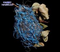 大自然的神奇“建筑师”（14张）