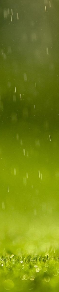 人生四大喜事：洞房花烛夜 金榜题名时