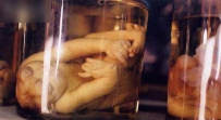 骇人听闻！苗族血婴蛊术竟令死婴复活