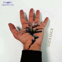 意大利艺术家卢卡的手上3D画，看着都疼···（6张）