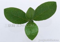 快手个性个人介绍资料