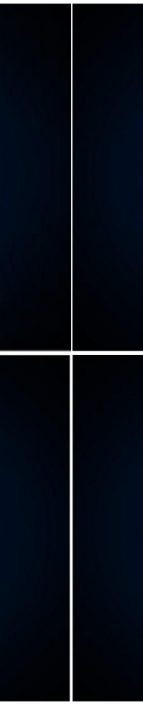 AE制作飞散粒子文字效果