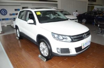 途观1.8tsi 哪项花费最大