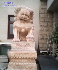 神似姚明的狮子，你受了什么委屈啊
