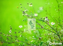 春分是什么意思_春分的由来