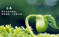 立春养生常识大全