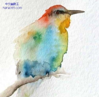 水彩中的小鸟（9张）