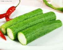 丝瓜病害黄守瓜治疗