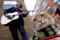 寒冷冬天主人街头卖唱，猫猫卖萌收打赏
